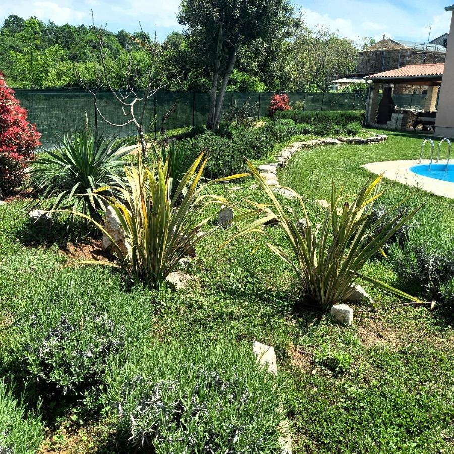 Villa Malini Grožnjan Dış mekan fotoğraf