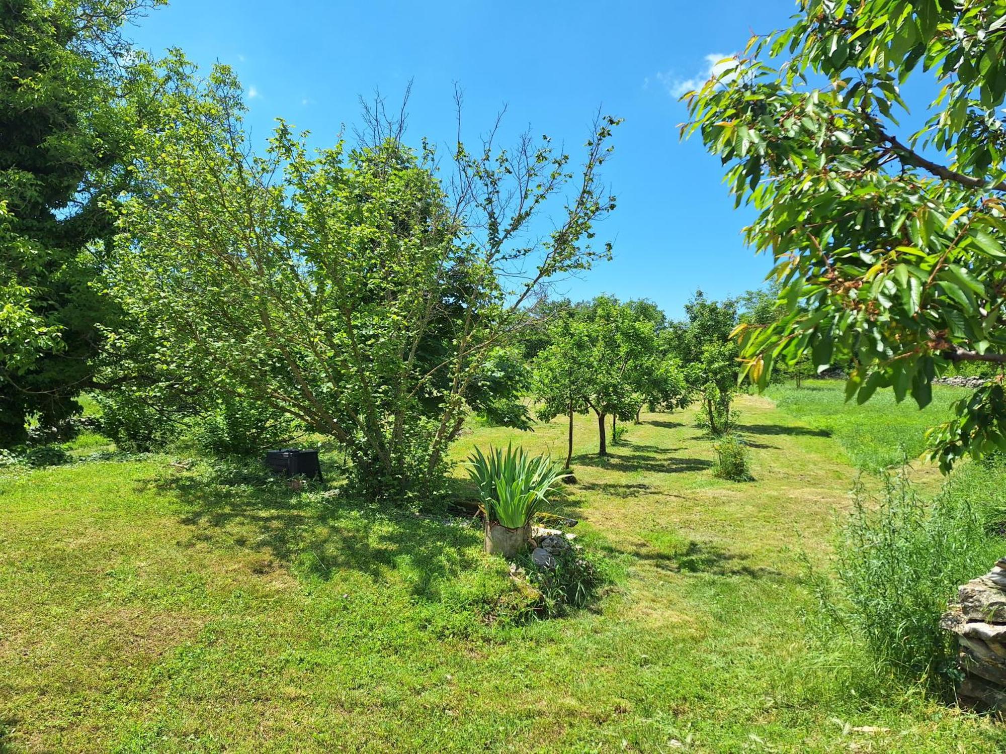 Villa Malini Grožnjan Dış mekan fotoğraf